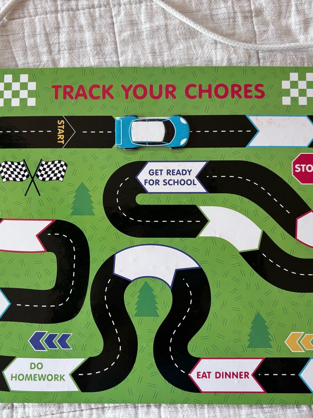 Track Your Chores Chore Chart -Dry Erase & Magnetic  - Green